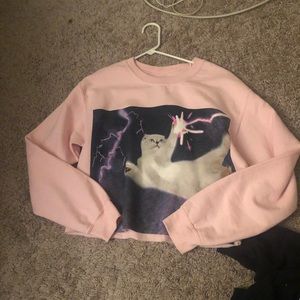 Taylor Swift Olivia crop sweater